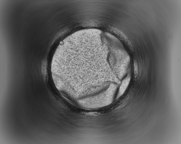 X0000092270396200710121344