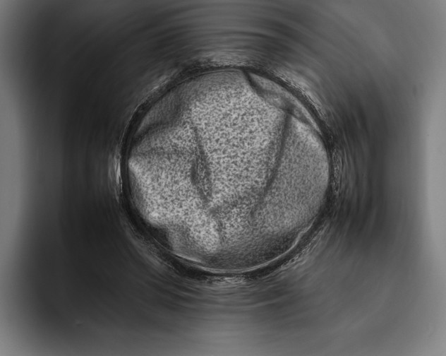 X0000092270398200710121344