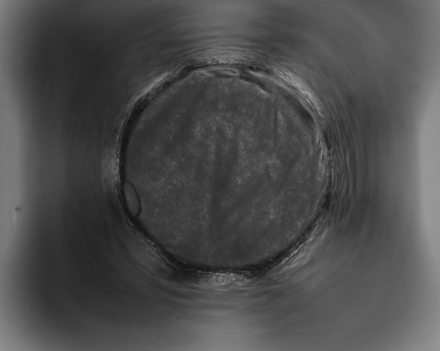X0000092270399200710121344