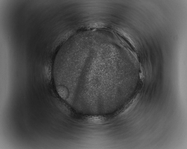 X0000092270402200710121344