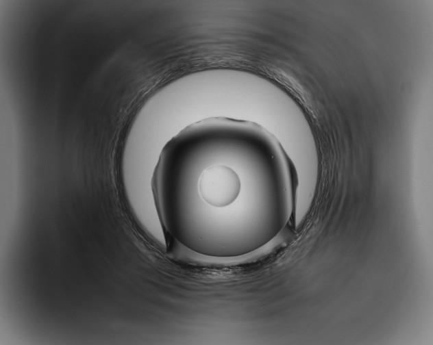 X0000092270405200710121344