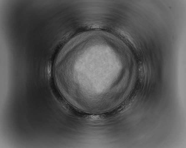 X0000092270406200710121344