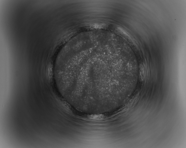 X0000092270410200710121344