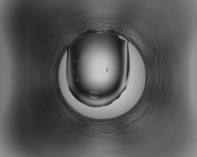 X0000092270411200710121344