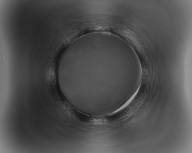 X0000092270415200710121344