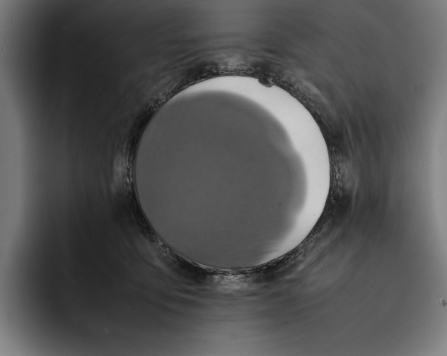 X0000092270419200710121344