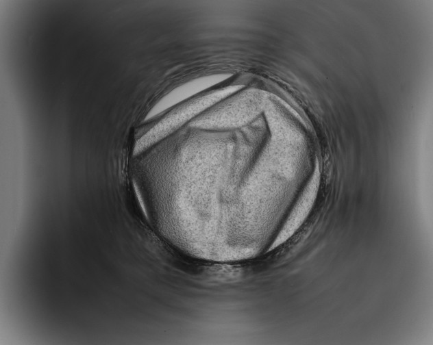 X0000092270421200710121344