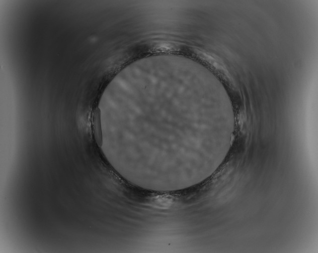 X0000092270423200710121344