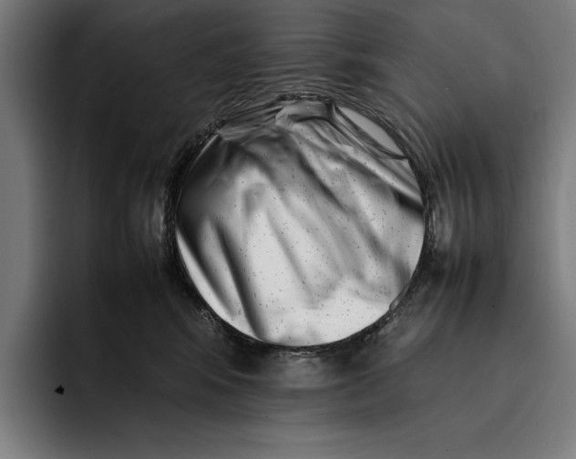 X0000092270424200710121344