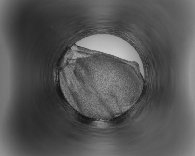 X0000092270425200710121344