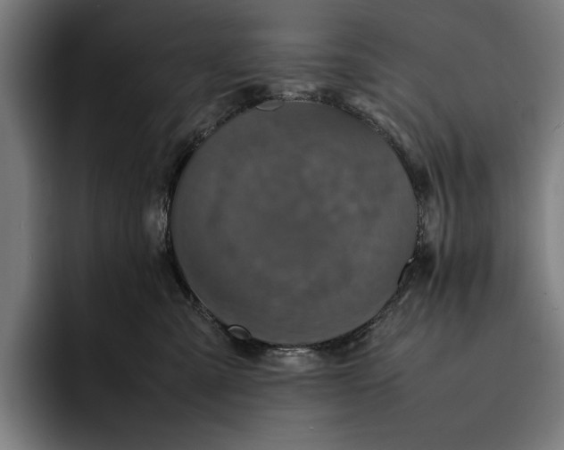 X0000092270427200710121344
