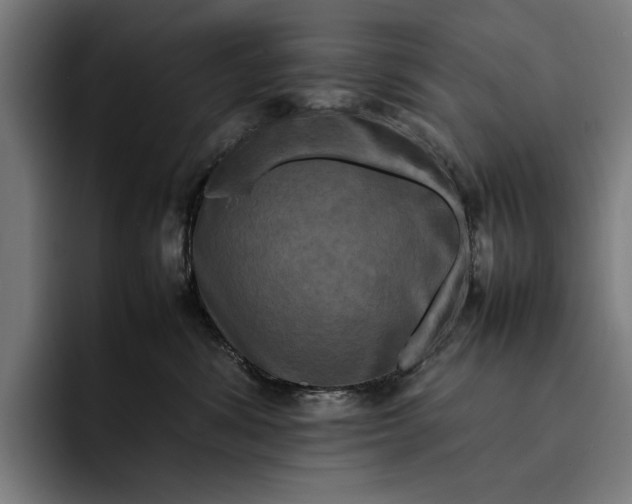 X0000092270428200710121344