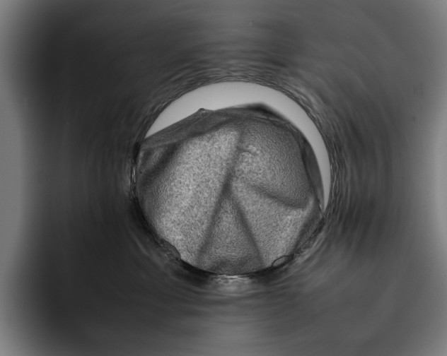 X0000092270429200710121343