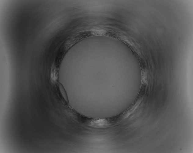 X0000092270431200710121343