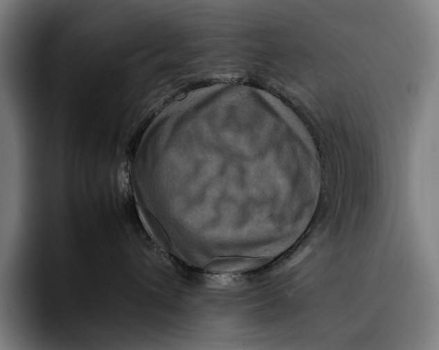 X0000092270432200710121343