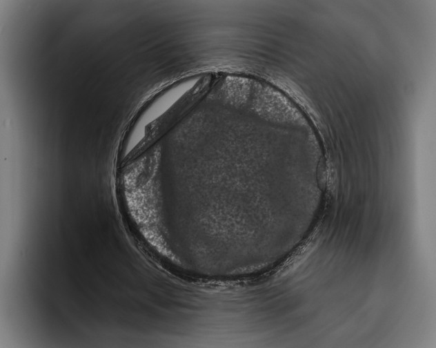 X0000092270434200710121343