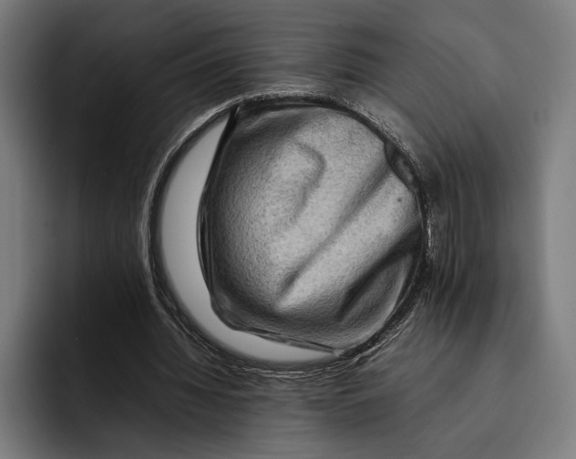 X0000092270436200710121343