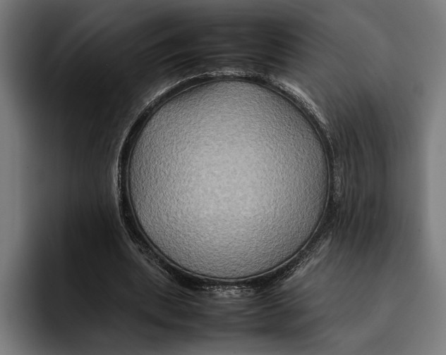 X0000092270439200710121343