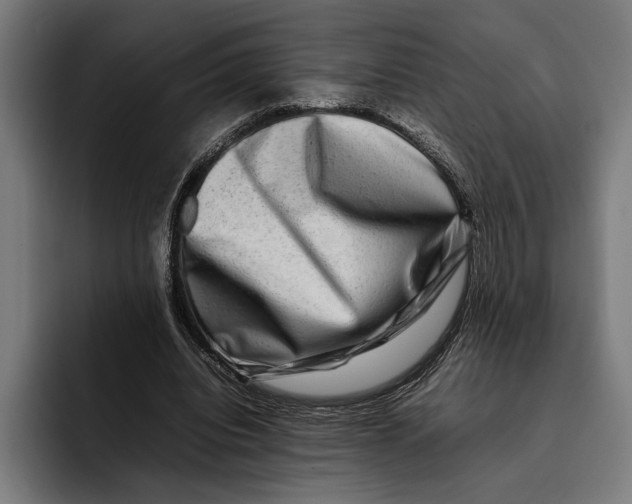 X0000092270440200710121343