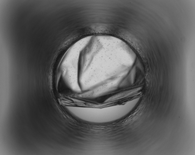 X0000092270442200710121343