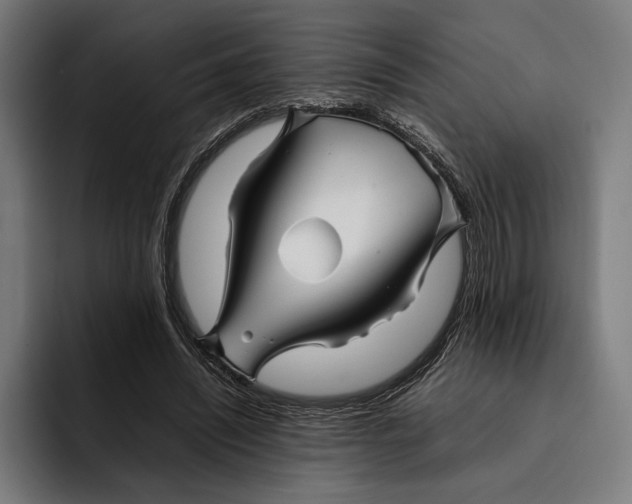 X0000092270444200710121343