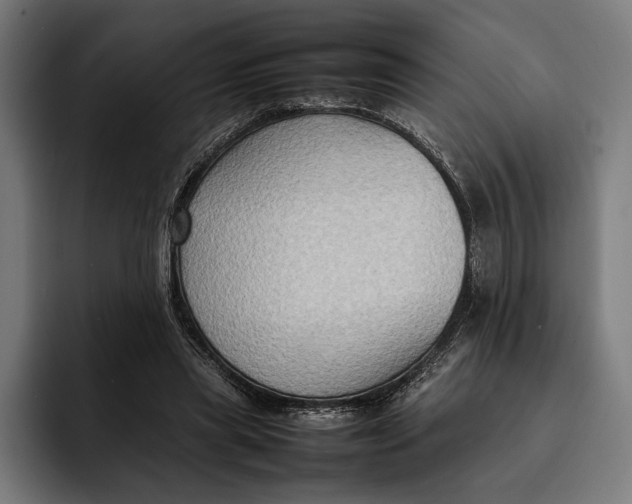 X0000092270445200710121343