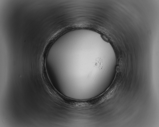 X0000092270446200710121343