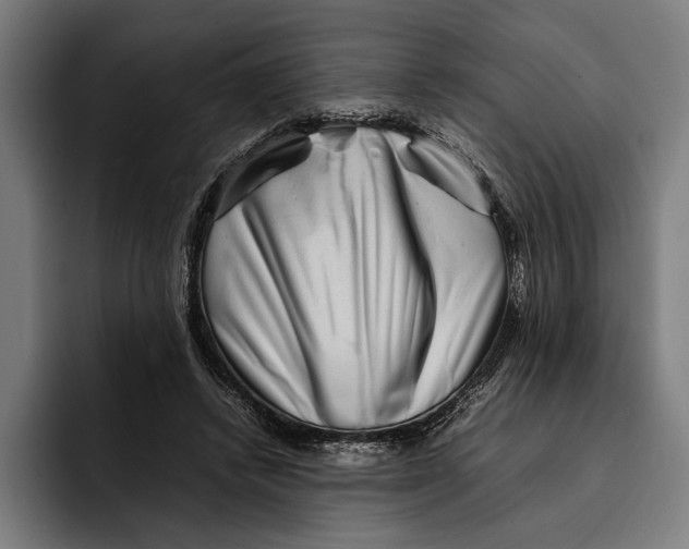 X0000092270448200710121343