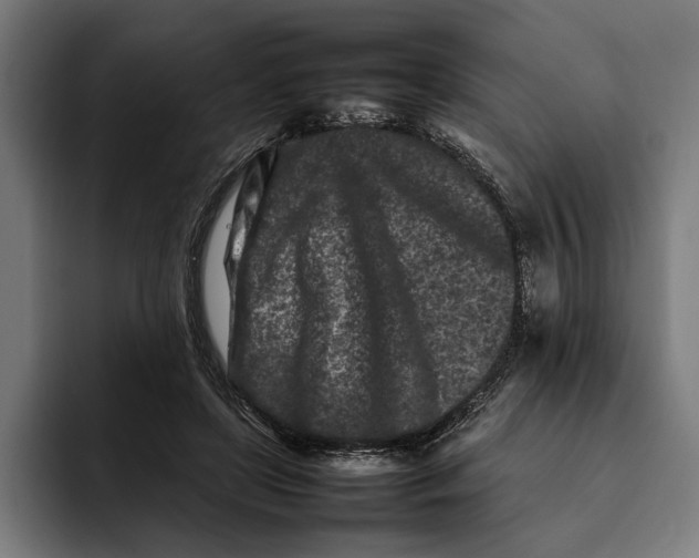 X0000092270451200710121343