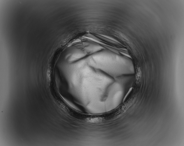 X0000092270452200710121343