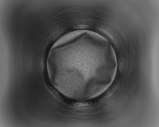 X0000092270455200710121343