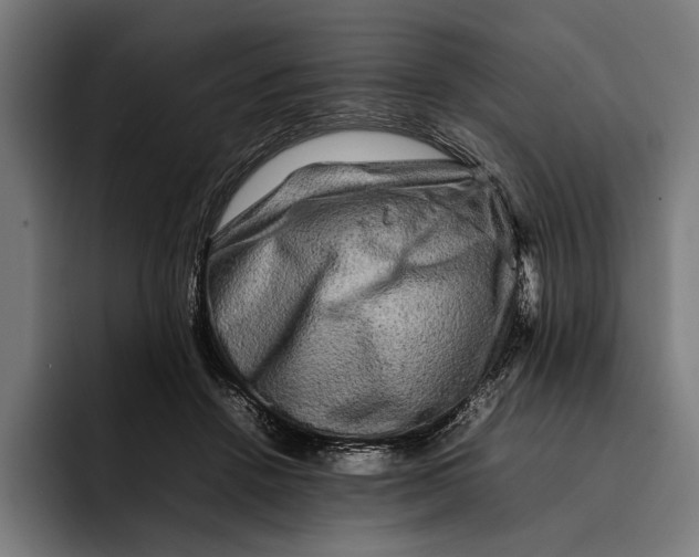 X0000092270456200710121343