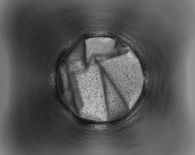 X0000092270462200710121343
