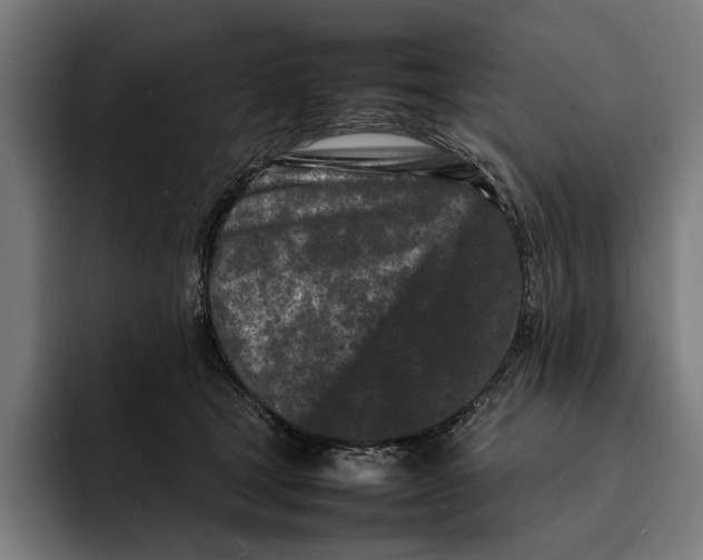 X0000092270465200710121343