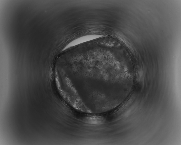 X0000092270467200710121343