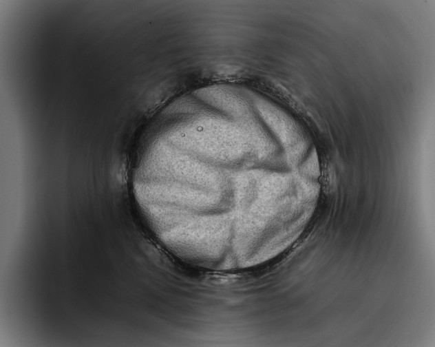 X0000092270472200710121343