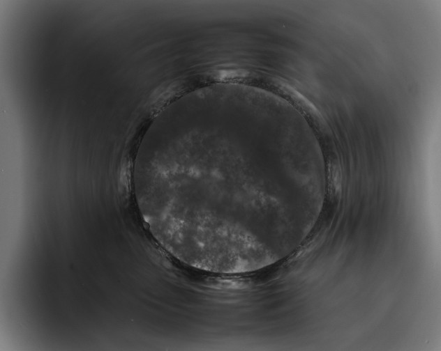 X0000092270475200710121343