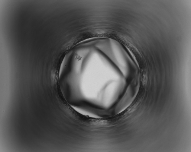 X0000092270476200710121343