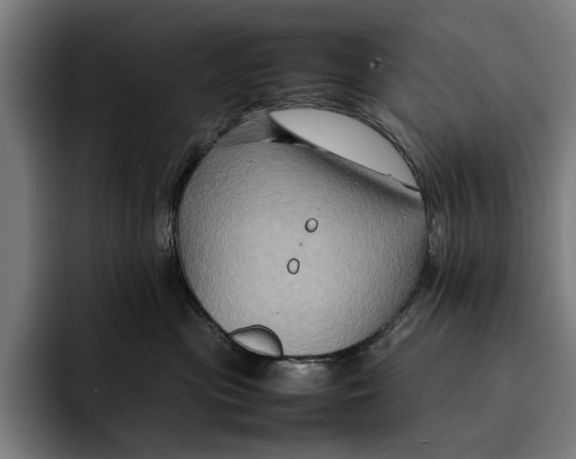 X0000092270477200710121343