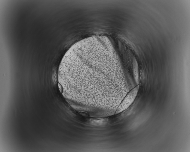 X0000092270479200710121343