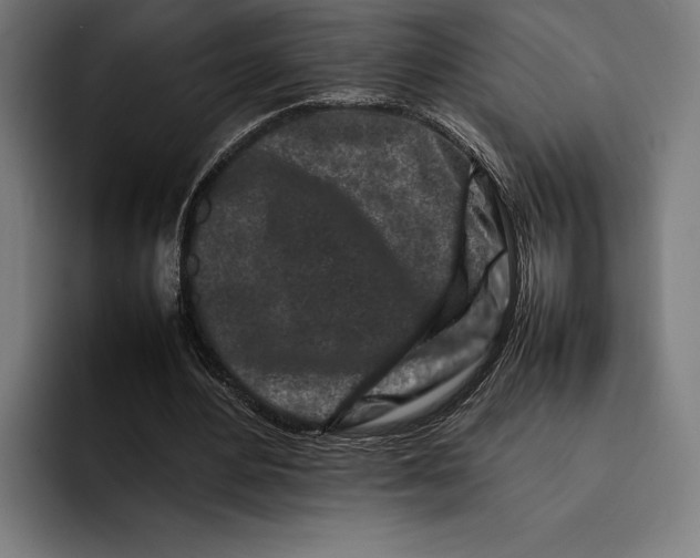 X0000092270484200710121343