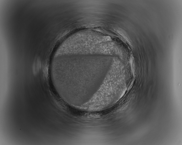X0000092270491200710121343
