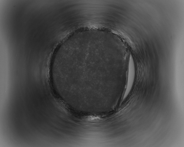 X0000092270496200710121343