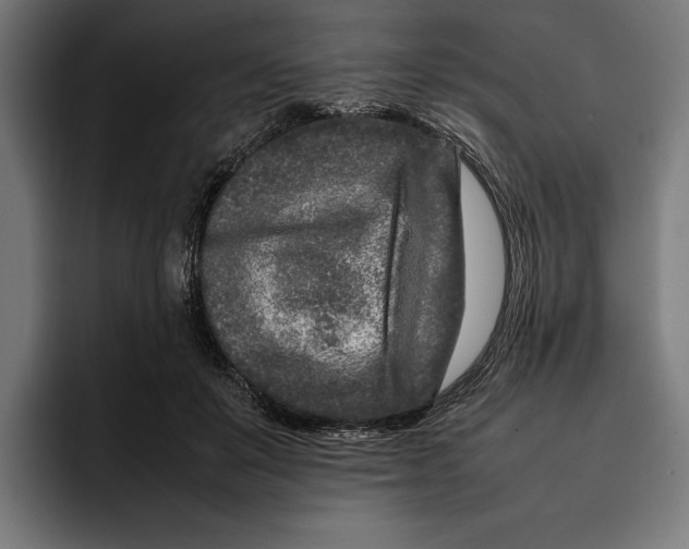 X0000092270503200710121343