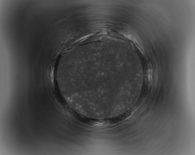 X0000092270504200710121343
