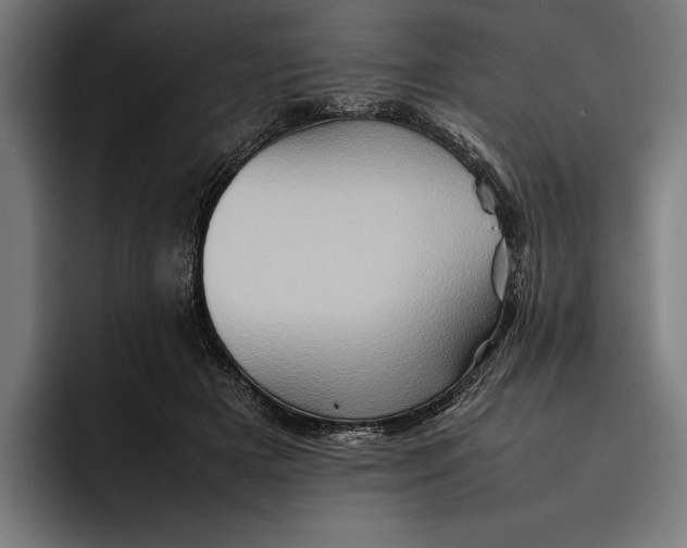 X0000092270505200710121343