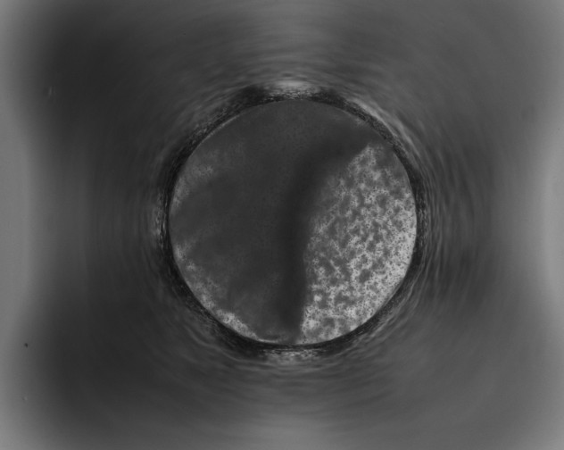 X0000092270517200710121342
