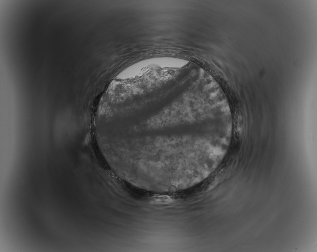 X0000092270519200710121342