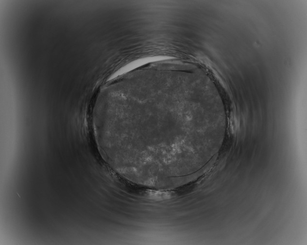 X0000092270520200710121342