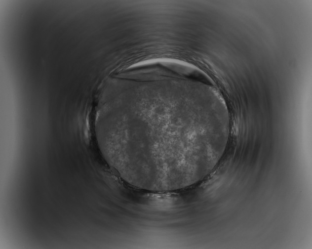 X0000092270524200710121342